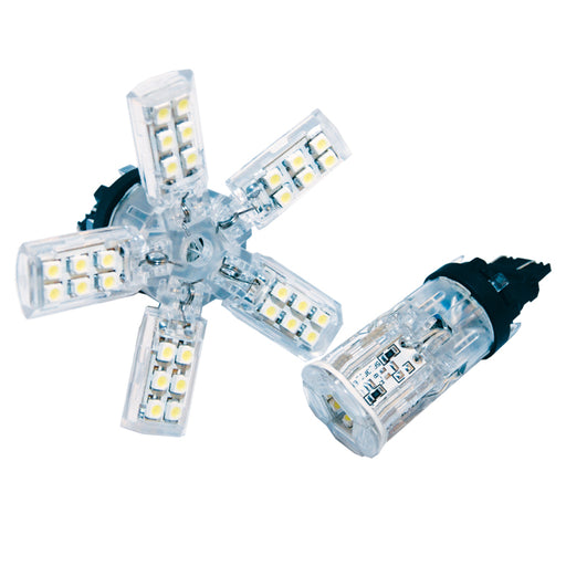 Oracle 7440 24 SMD 3 Chip Spider Bulb (Single) - Cool White ORACLE Lighting Bulbs