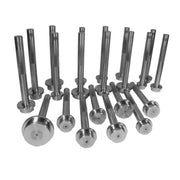Yukon Gear Bearing Race Driver Set / 21 Piece Yukon Gear & Axle Tools