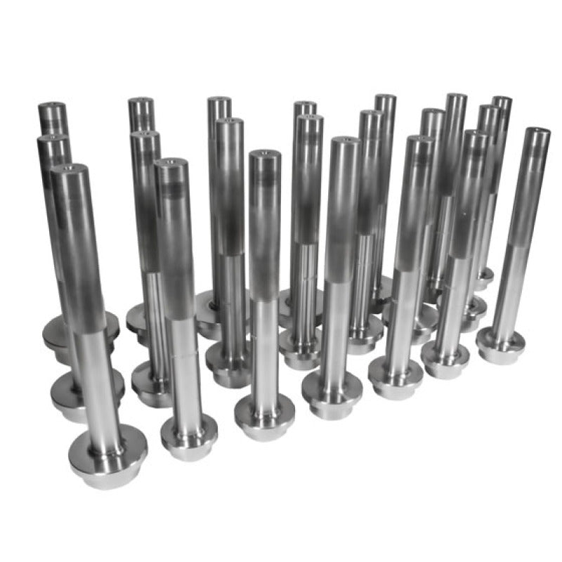 Yukon Gear Bearing Race Driver Set / 21 Piece Yukon Gear & Axle Tools