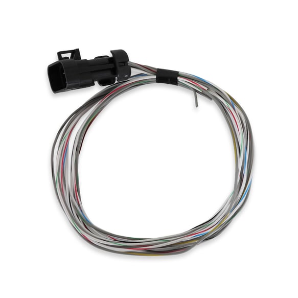 Terminator X Input/Output Harness 558-462 HOLLEY EFI Autoparts