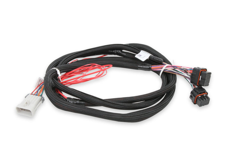 Injector Driver Harness Holley EFI Autoparts