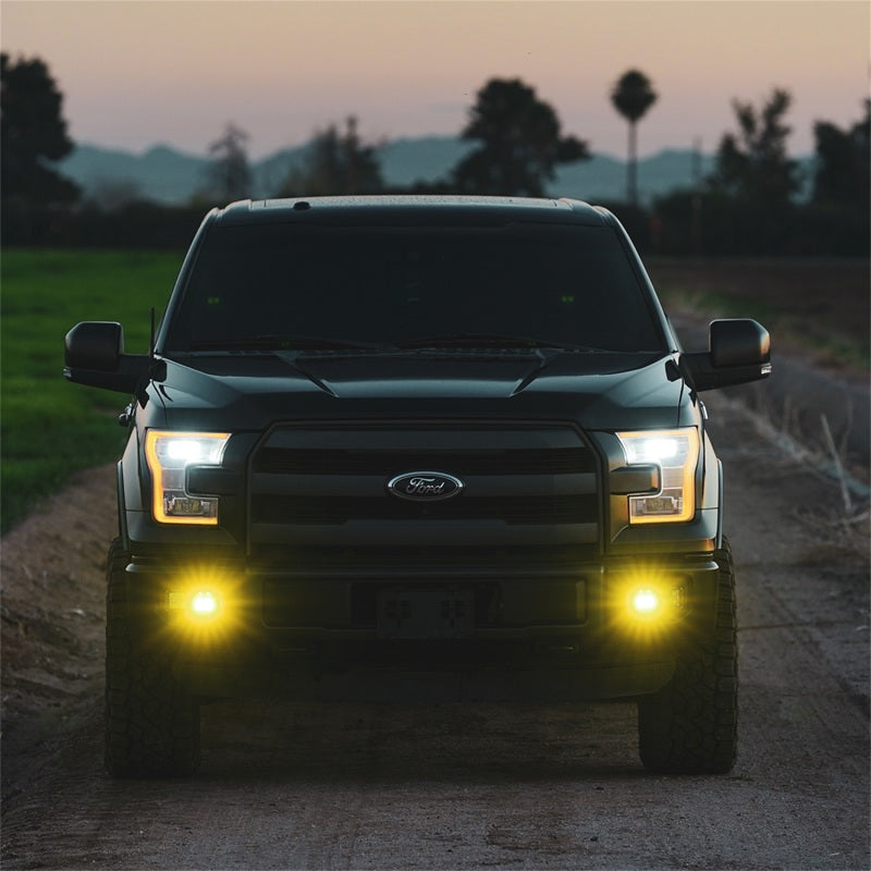 Rigid Industries D-Series SAE Fog Yellow/White Pair Rigid Industries Light Bars & Cubes