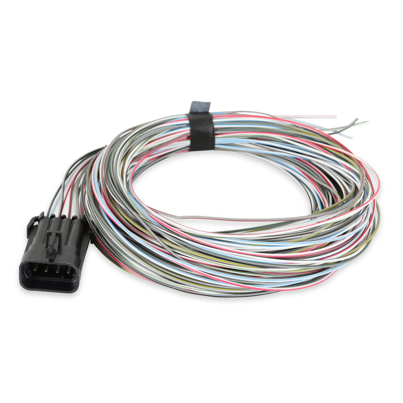 Connector J1A/B Input/Outputs Auxiliary Harness Holley EFI Autoparts