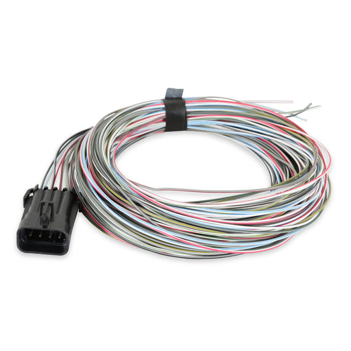 Connector J1A/B Input/Outputs Auxiliary Harness Holley EFI Autoparts