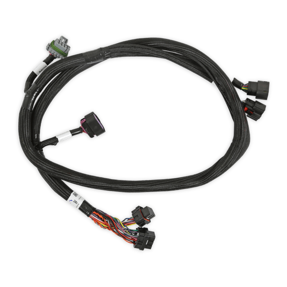 Holley EFI GM GEN V GDI Sub Harness 558-220 HOLLEY Autoparts