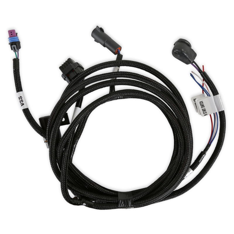 Holley EFI Transmission Harness - TKO Holley EFI Autoparts