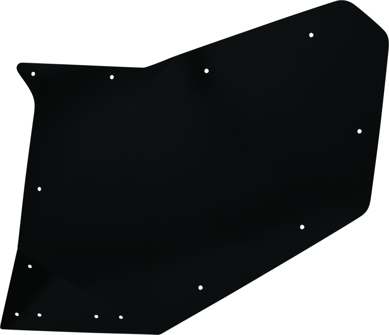 DragonFire Racing Rear Passenger Door Skin For 522137 DragonFire Racing Doors