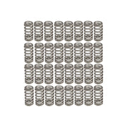 COMP Cams 2018+ Ford Coyote Valve Springs 1.765in Beehive COMP Cams Valve Springs, Retainers