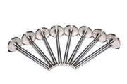 COMP Cams Ss Valves SBC Exh 1.600in 11/3 COMP Cams Valves