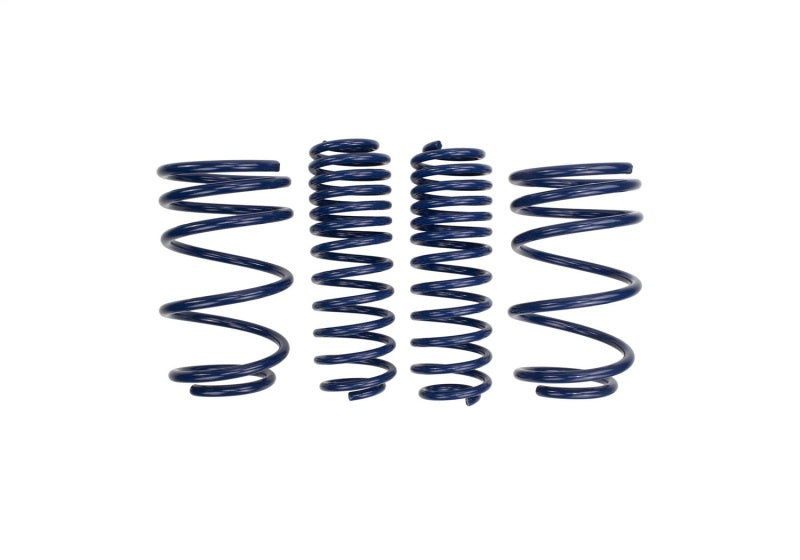 Ford Racing 2007-2014 Mustang Shelby GT500 Springs
