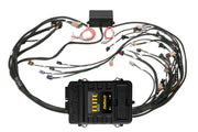 Haltech Elite 2500 Terminated Harness ECU Kit w/EV1 Injector Connectors Haltech Programmers & Tuners