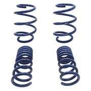 Ford Racing 2015-2017 Mustang GT350 Lowering Springs Ford Racing Lowering Springs