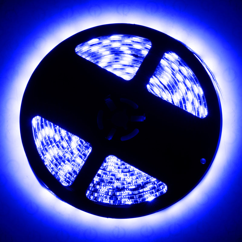 Oracle Interior Flex LED Spool - UV/Purple ORACLE Lighting Light Strip LED