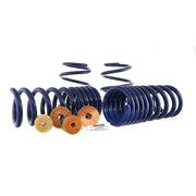 Ford Racing 15-23 Mustang GT/2.3L EcoBoost Fastback Track Lowering Spring Kit (Excl MagneRide Susp) Ford Racing Lowering Springs