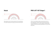 Eibach 18-20 Ford F-150 2WD (Diesel) PRO-Truck Lift System (Stage 1) Eibach Lift Kits