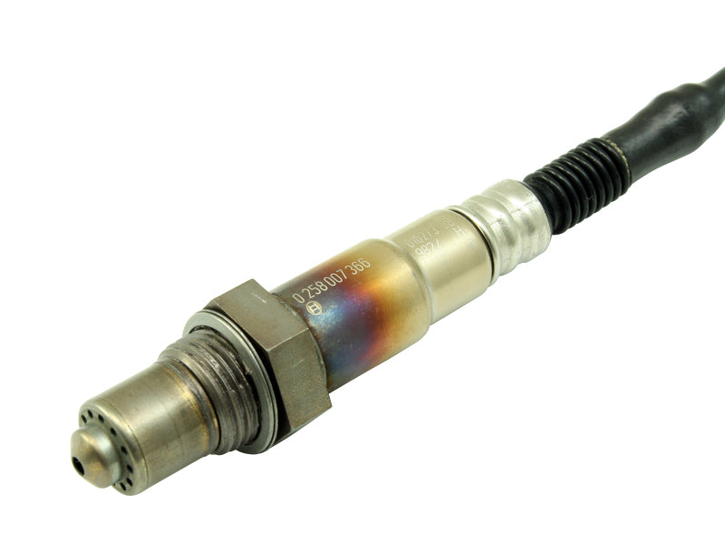 AEM Bosch UEGO Replacement Sensor AEM Oxygen Sensors