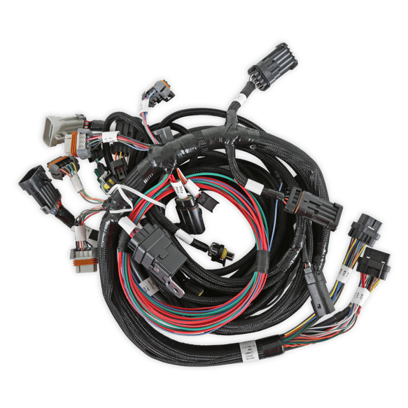 Ford 2V and 4V Modular Main Harness 558-108 HOLLEY Autoparts