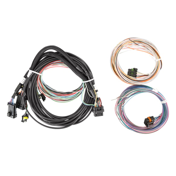 Holley EFI Pro Dash Standalone Service Harness 558-457 HOLLEY Autoparts