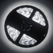 Oracle Interior Flex LED Spool - RGB ColorSHIFT ORACLE Lighting Light Strip LED