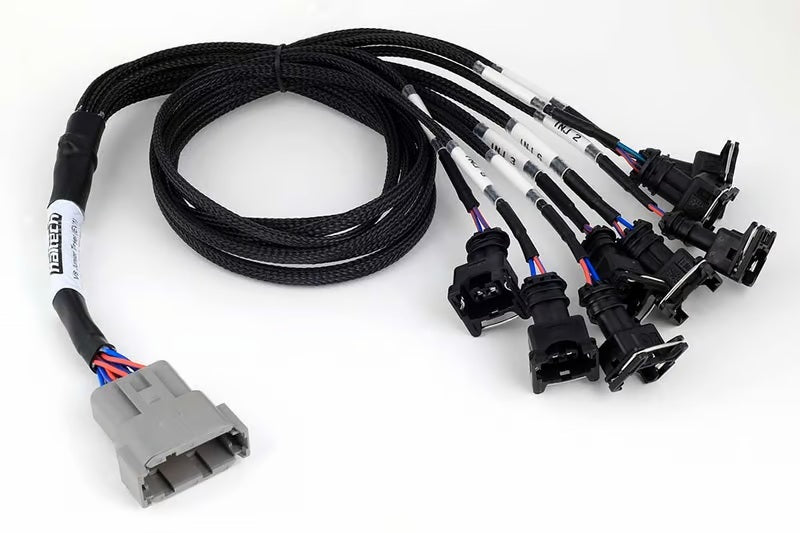 Haltech NEXUS V8 Junior Timer (EV1) Injector Primary Breakout (Plug-n-Play w/HT-186200) Haltech Wiring Harnesses