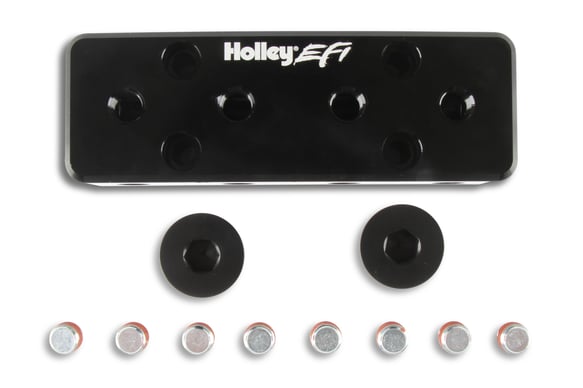 Holley EFI Vacuum Manifold 534-52 HOLLEY Autoparts