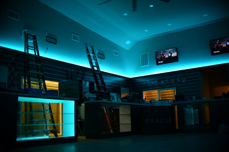 Oracle Exterior Black Flex LED 12in Strip - RGB ColorSHIFT ORACLE Lighting Light Strip LED