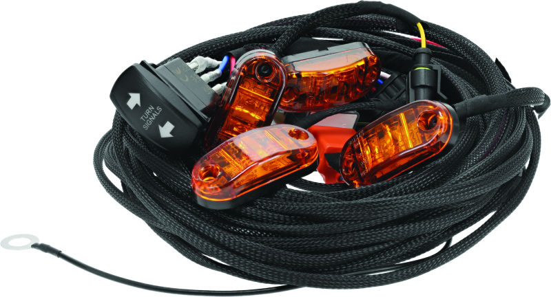 DragonFire Racing Whip Harness - 4 Seat- Dual DragonFire Racing Wiring Harnesses