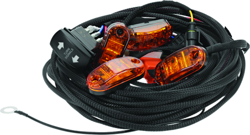 DragonFire Racing Whip Harness - 4 Seat- Dual DragonFire Racing Wiring Harnesses