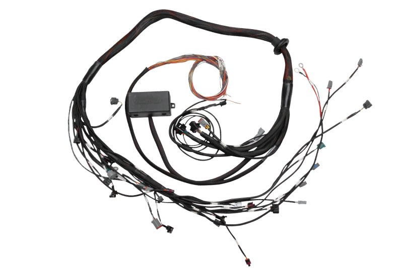 Haltech Elite 2000/2500 Terminated Engine Harness Haltech Wiring Harnesses