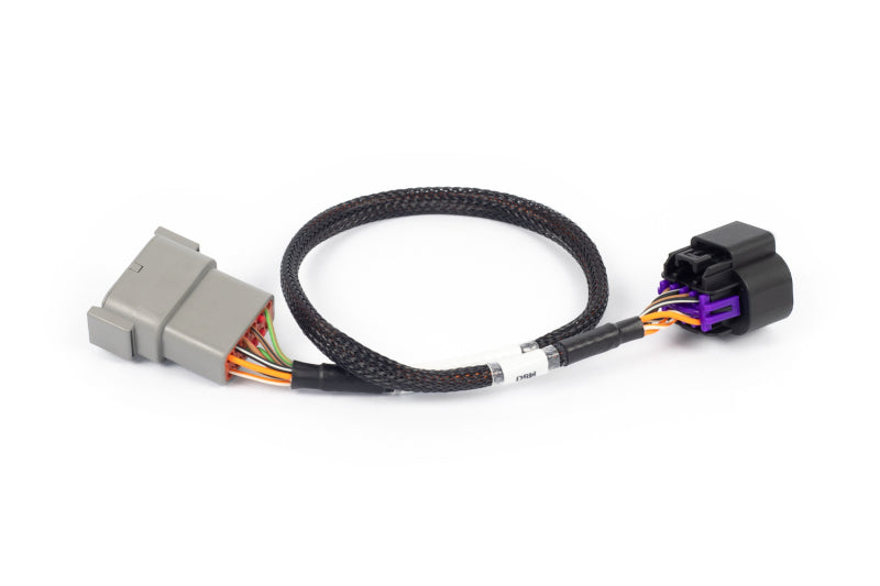 Haltech NEXUS Rebel LS 8-Pin DBW Adaptor Haltech Wiring Connectors