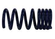 Ford Racing 2015-2017 Mustang GT350 Lowering Springs Ford Racing Lowering Springs