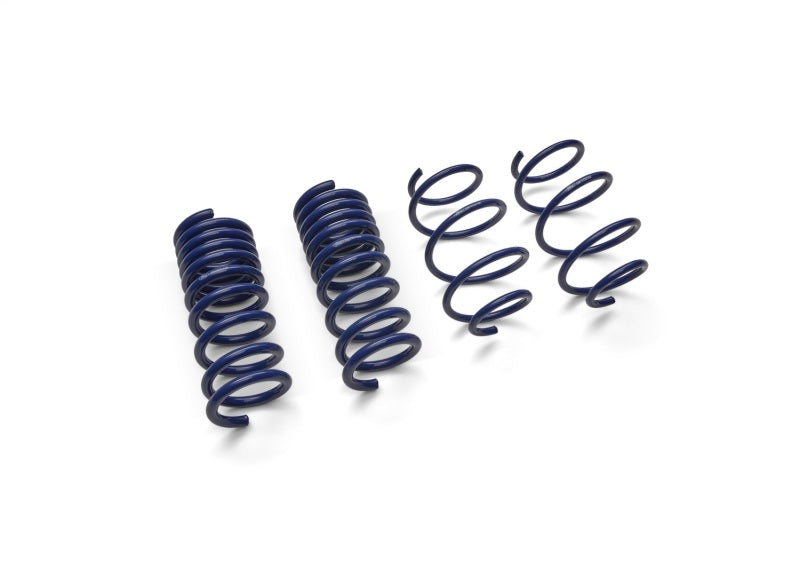 Ford Racing 15-19 Mustang (w/o MagneRide) Street Lowering Spring Kit