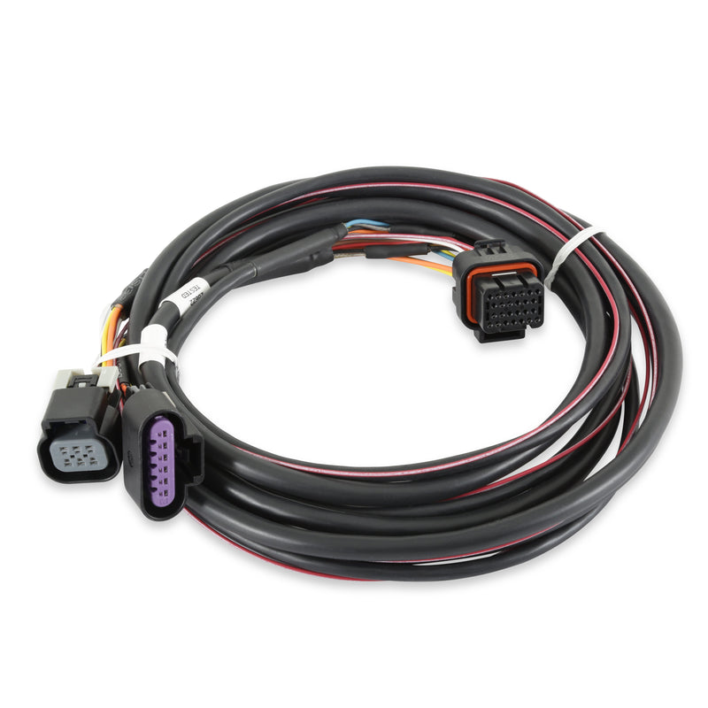 Holley EFI GM Drive-By-Wire Harness 558-406 Holley EFI Autoparts