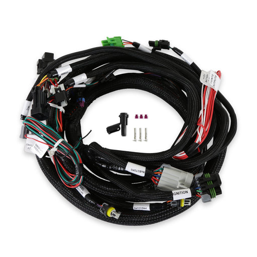 5.0L Ford Engine Main Harness Holley EFI Autoparts