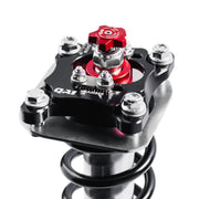 QA1 05-14 Ford Mustang Proma Star Coilover Strut Kit Double Adjust 150lb/in. QA1 Shocks and Struts