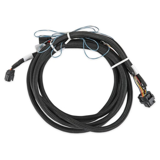 2018-2022 Ford DBW Harness 558-469 HOLLEY Autoparts