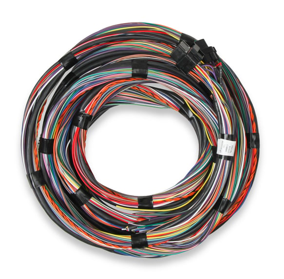 Unterminated 15' Flying Lead Main Harness 558-126 HOLLEY Autoparts