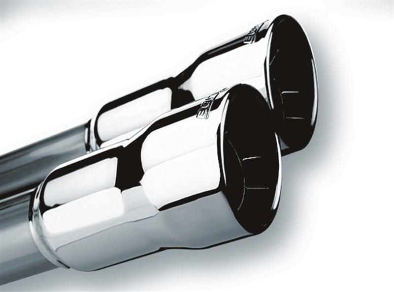 Borla Universal Polished Tip Dual Round Rolled Angle-Cut (inlet 2in. Outlet 3in) *NO Returns* Borla Tips