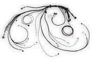 Haltech NEXUS Rebel LS Terminated Harness for ECU Haltech Wiring Harnesses