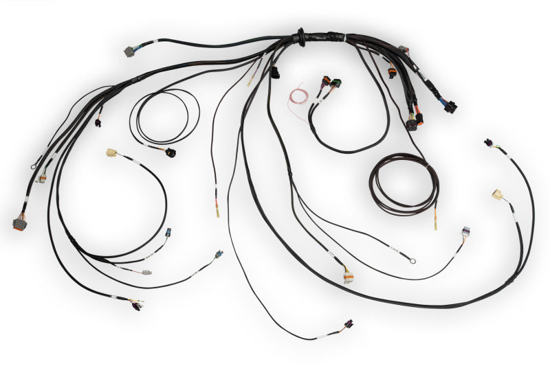 Haltech NEXUS Rebel LS Terminated Harness for ECU Haltech Wiring Harnesses