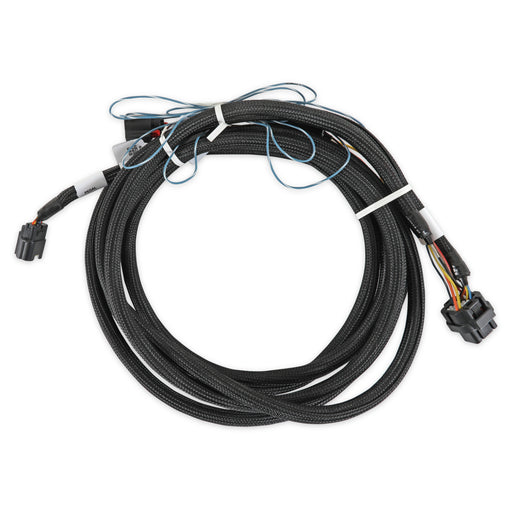 2018-2022 Ford - DBW Harness Holley EFI Autoparts