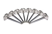 COMP Cams Ss Valves LS1 Int 2.08in 4.900 COMP Cams Valves