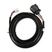 AEM Replacement Sensor Harness for Digital Wideband Gauge (30-4110) AEM Wiring Harnesses