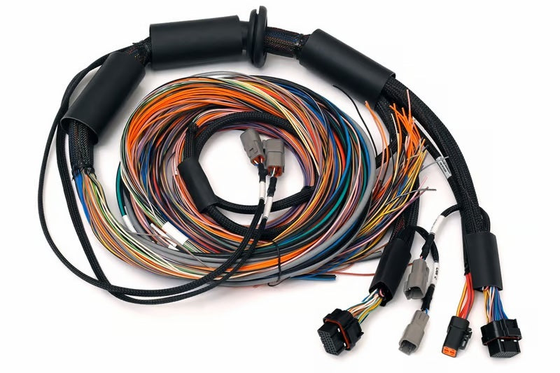 Haltech NEXUS R3 Universal Wire-In Harness - 2.5M (8ft) Haltech Wiring Harnesses