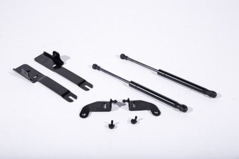 Roush 2015-2023 Ford Mustang Hood Strut (w/o Active Hood Safety) Roush Hood Struts