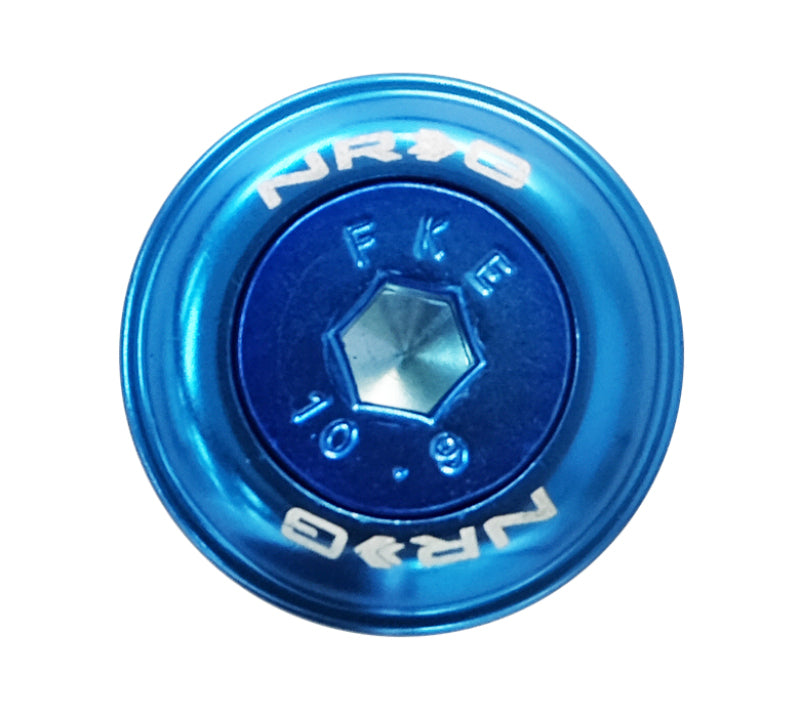 NRG Fender Washer Kit w/Color Matched M6 Bolt Rivets For Plastic (Blue) - Set of 10 NRG Hardware Kits - Other