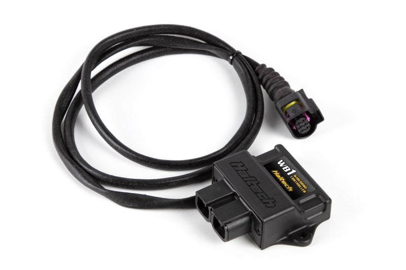 Haltech WB1 Single Channel CAN O2 Wideband Controller Kit Haltech Gauge Components