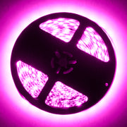 Oracle Exterior Flex LED Spool - Pink ORACLE Lighting Light Strip LED