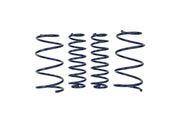 Ford Racing 2013 Cobra Jet Spring Kit Ford Racing Lowering Springs