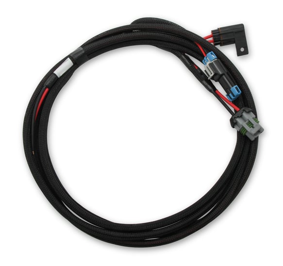 Holley EFI Main Power Harness for Coyote Ti-VCT Applications 558-319 HOLLEY EFI Autoparts